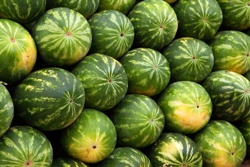 Farmer's Market